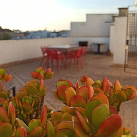 Atardeceres Surenos - Gran Terraza - Parking Jerez de la Frontera Exterior photo